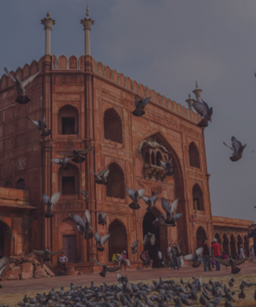 Delhi-&-Agra-image-1