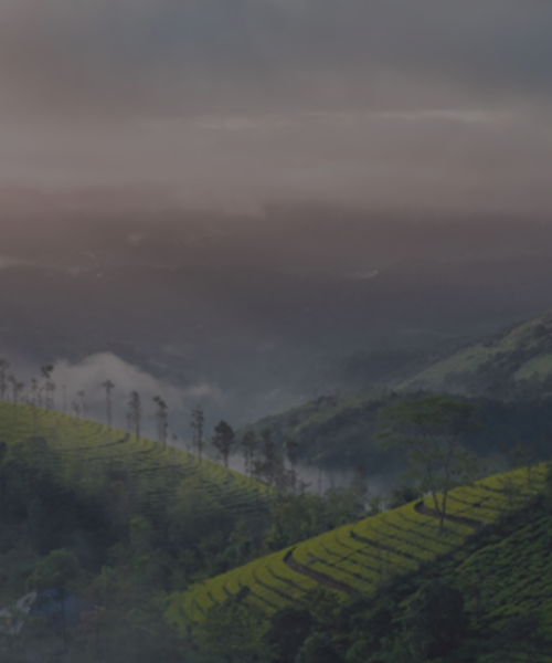 Kerala-Packages-image-1